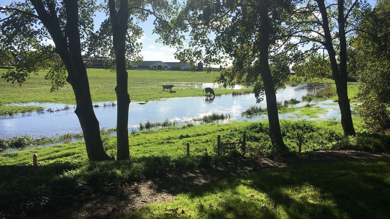 Photo of Outdoor in Mandoe