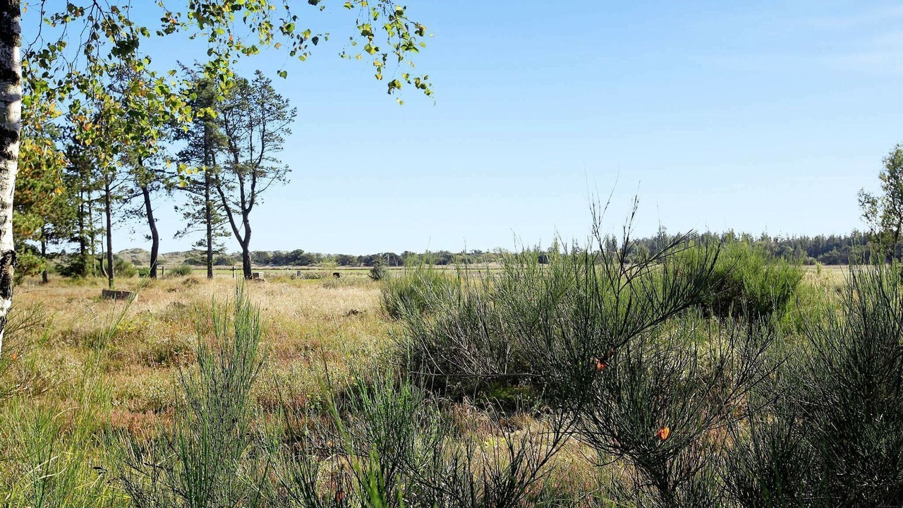 Photo of Outdoor in Hulsig