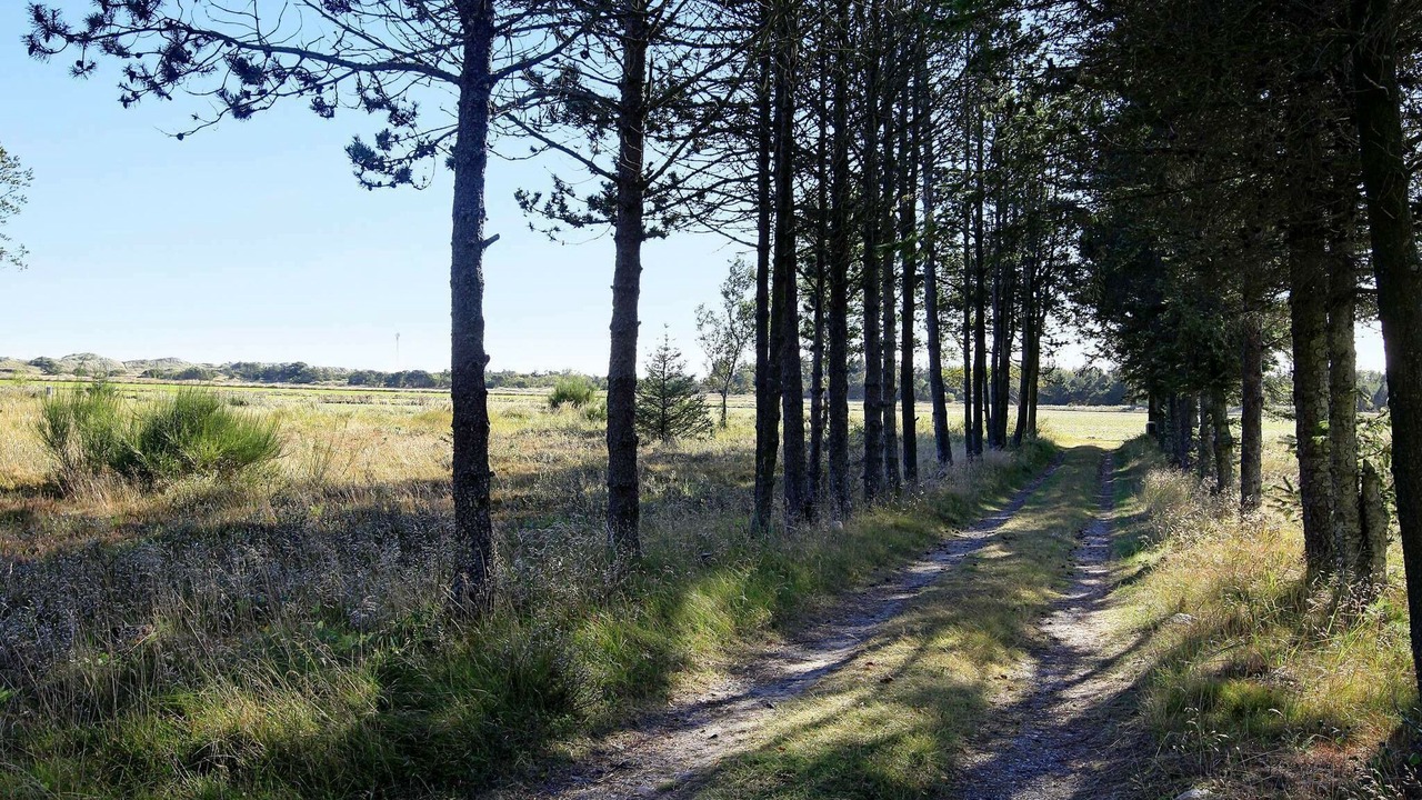 Photo of Outdoor in Hulsig
