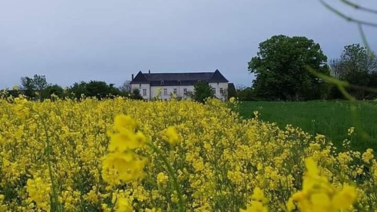 Photo of Outdoor in Buchy