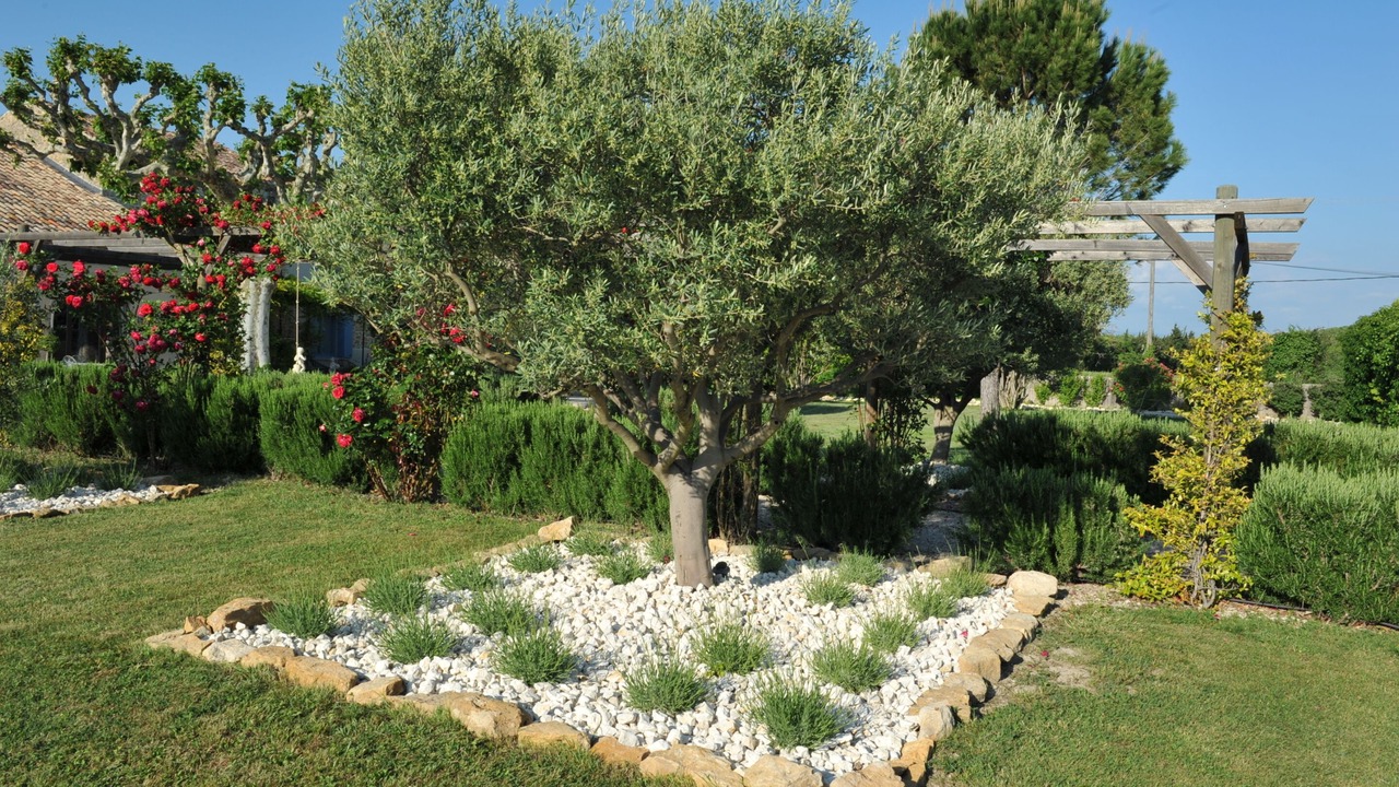 Photo of Outdoor in Sarrians