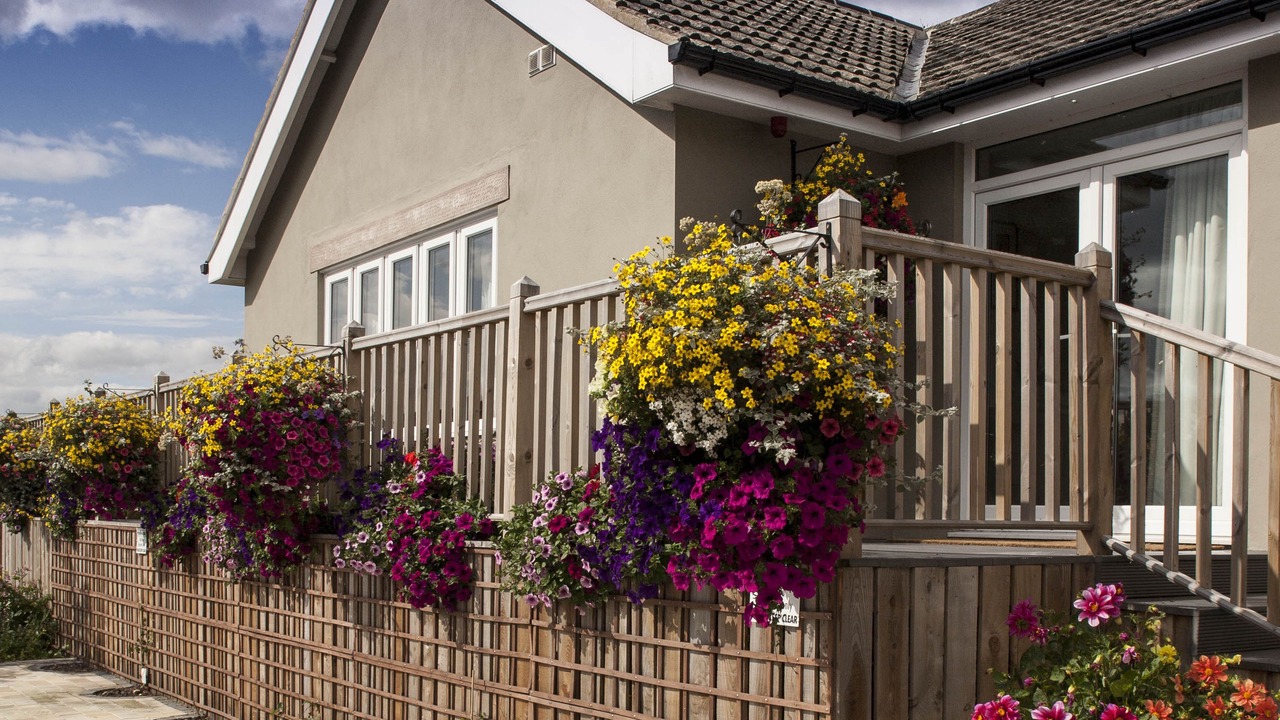 Photo of Outdoor in Stanley