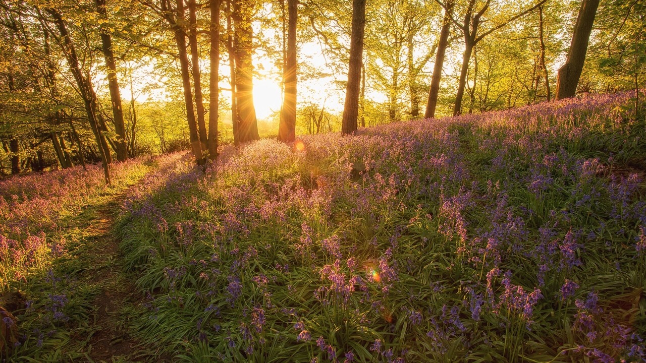 Photo of Outdoor in Barlaston