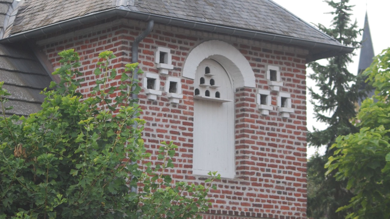 Photo of Outdoor in Fampoux