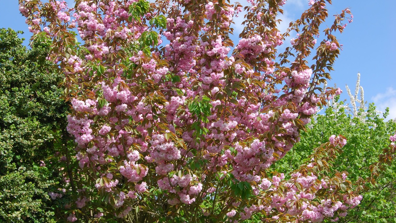 Photo of Outdoor in Fampoux