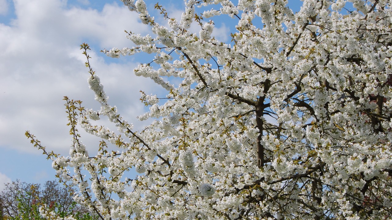 Photo of Outdoor in Fampoux