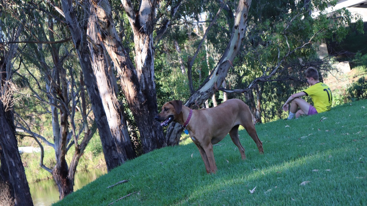 Photo of Others in Wellington