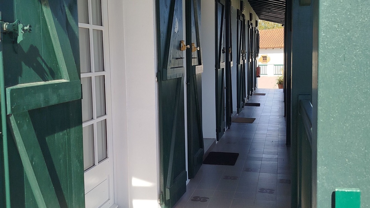 Photo of Others in Saint-Pee-sur-Nivelle