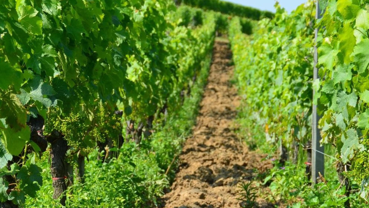 Photo of Outdoor in Saint-Jean-de-Blaignac