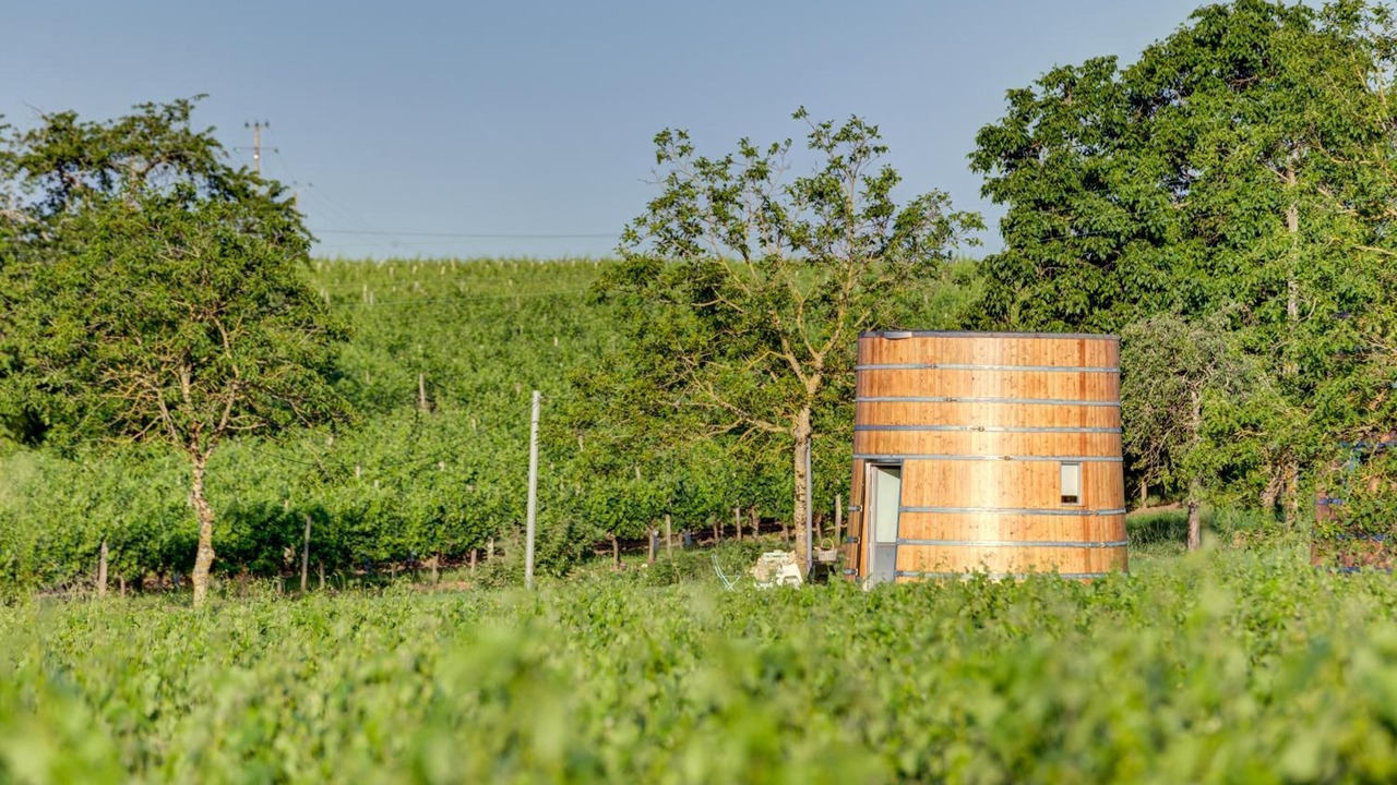 Photo of Outdoor in Saint-Jean-de-Blaignac