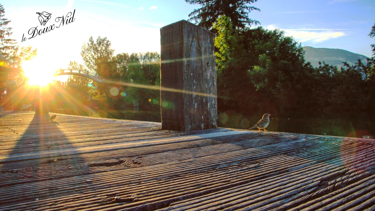 Photo of Others in Chanaz