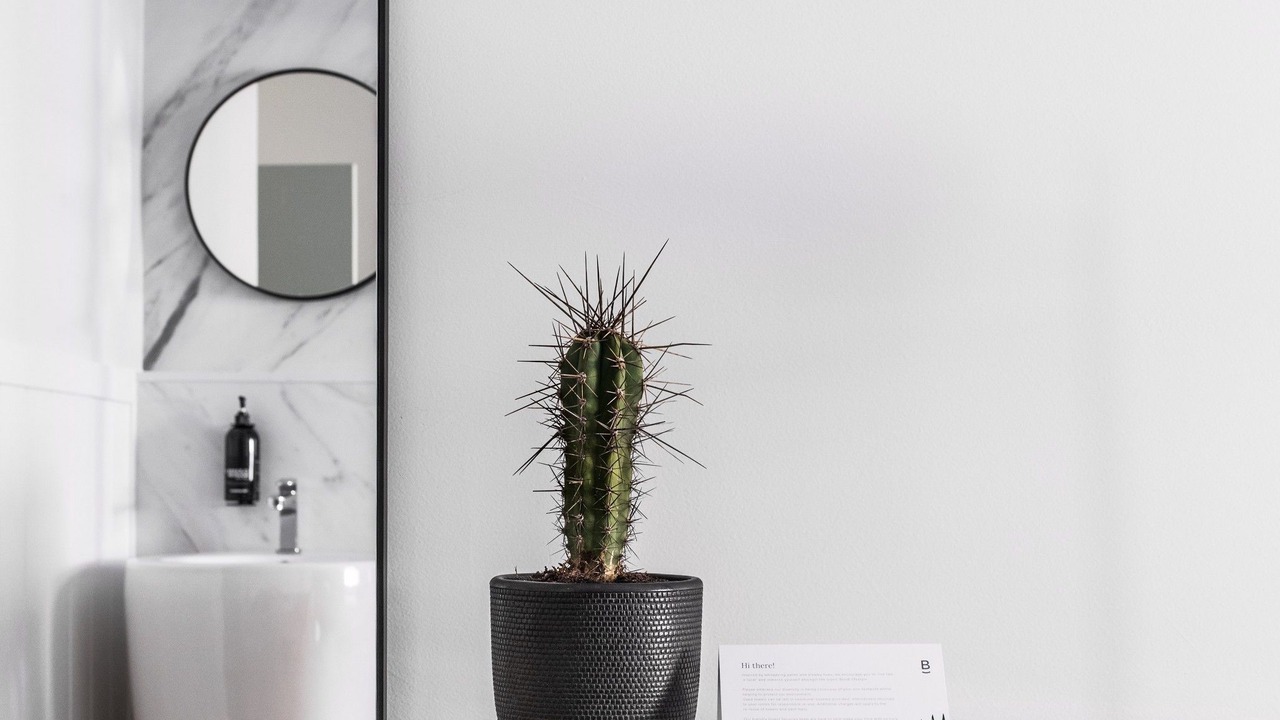 Photo of Bathroom in Bondi
