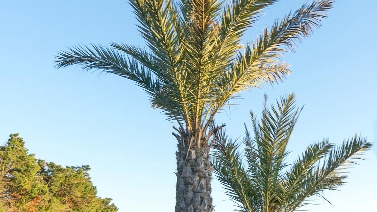 Photo of Outdoor in Saint-Gilles