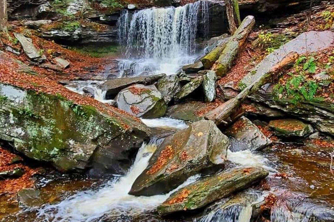 Photo of Others in Laporte