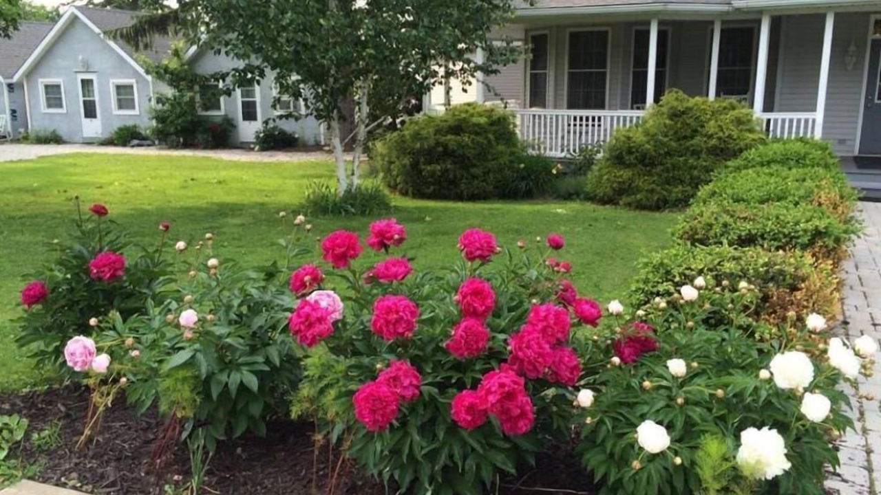 Photo of Outdoor in Laporte