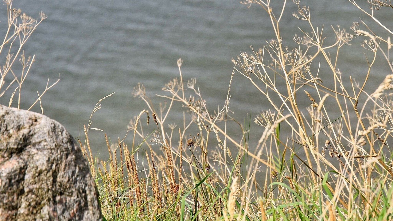 Photo of Others in Remmer Strand