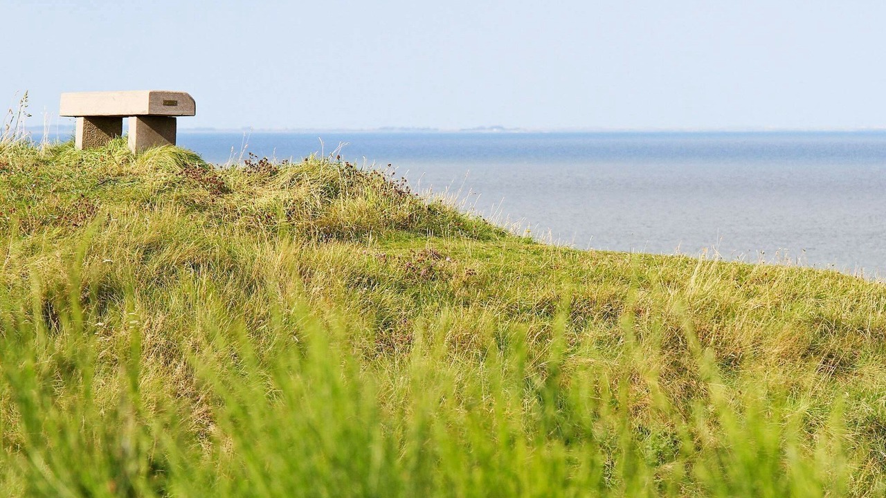 Photo of Others in Remmer Strand