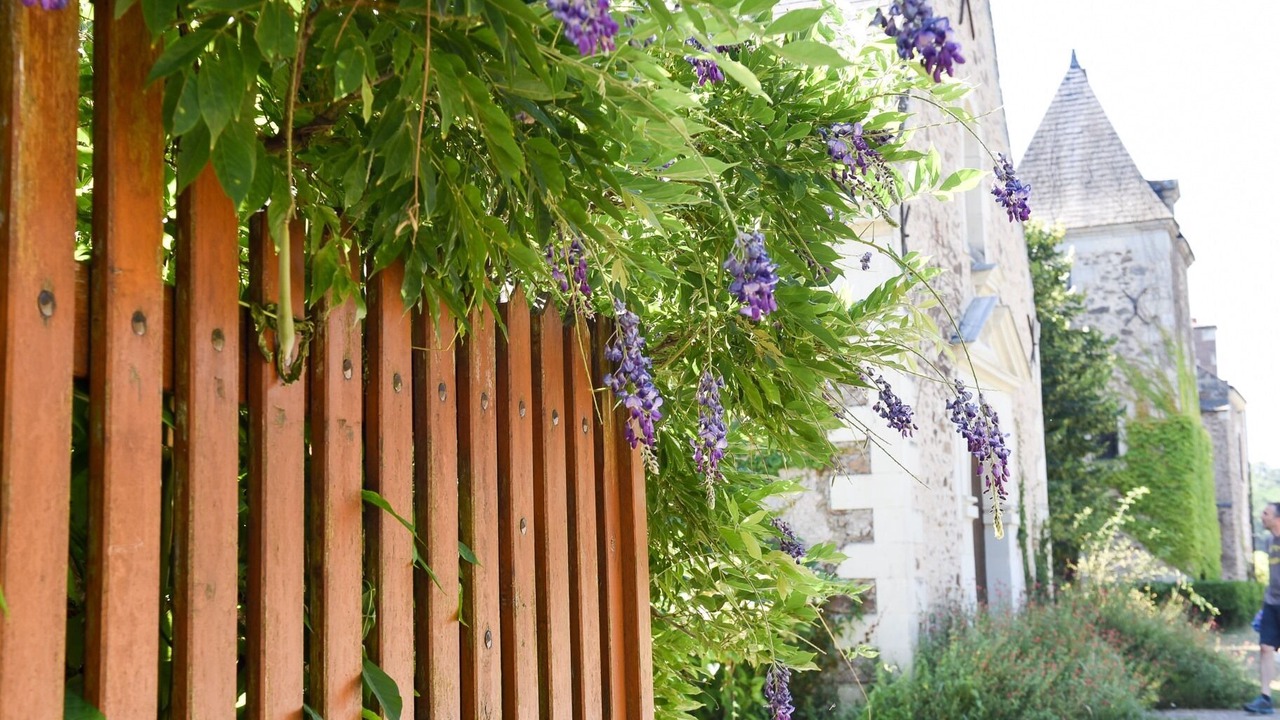 Photo of Outdoor in Blaison-Gohier