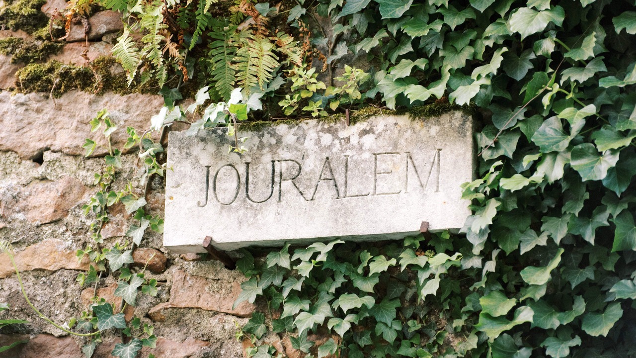 Photo of Others in Blaison-Gohier