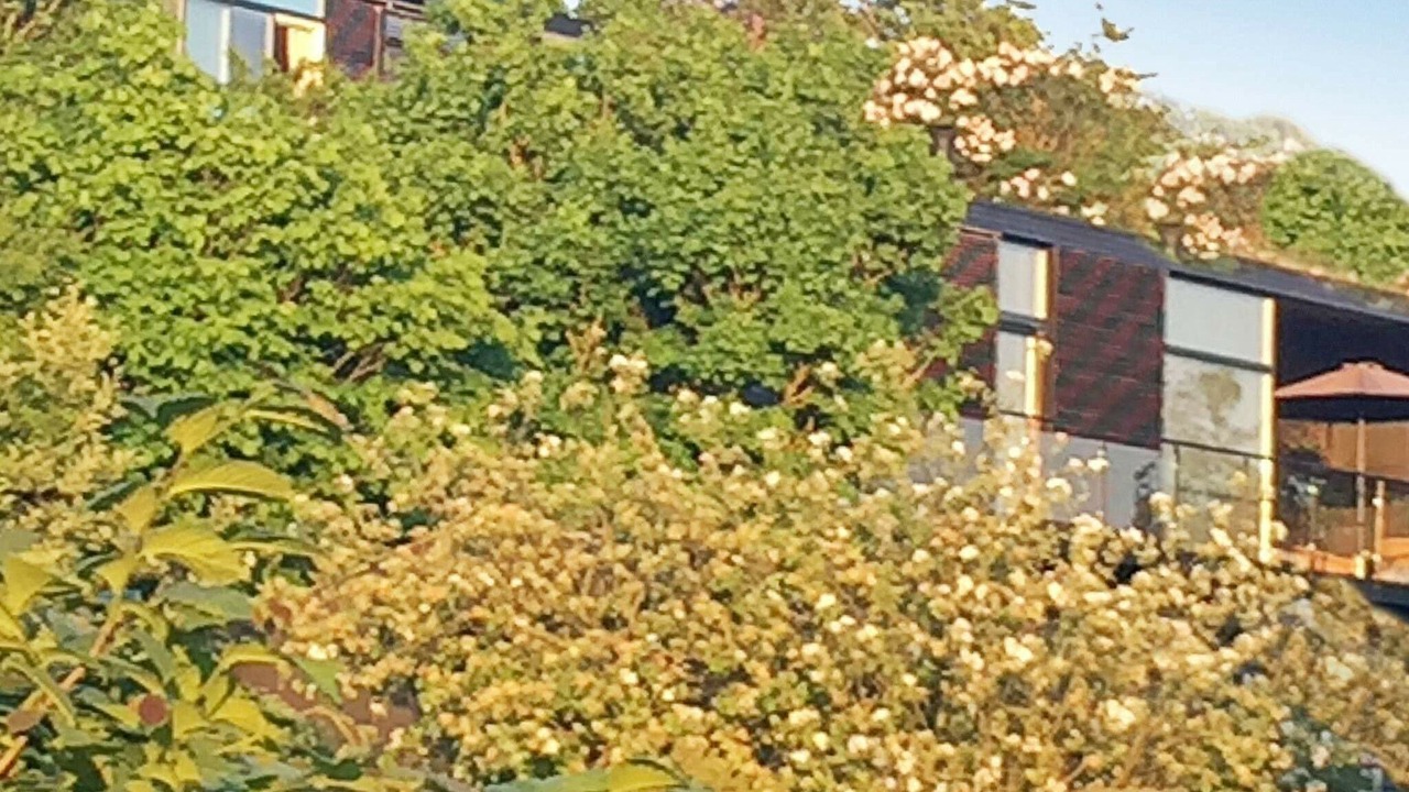 Photo of Outdoor in Store Kongsmark