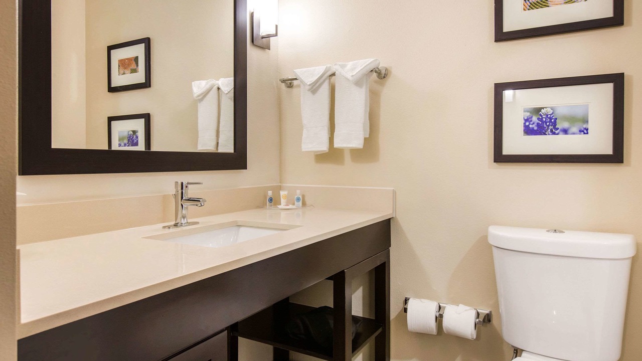 Photo of Bathroom in Franklin Park