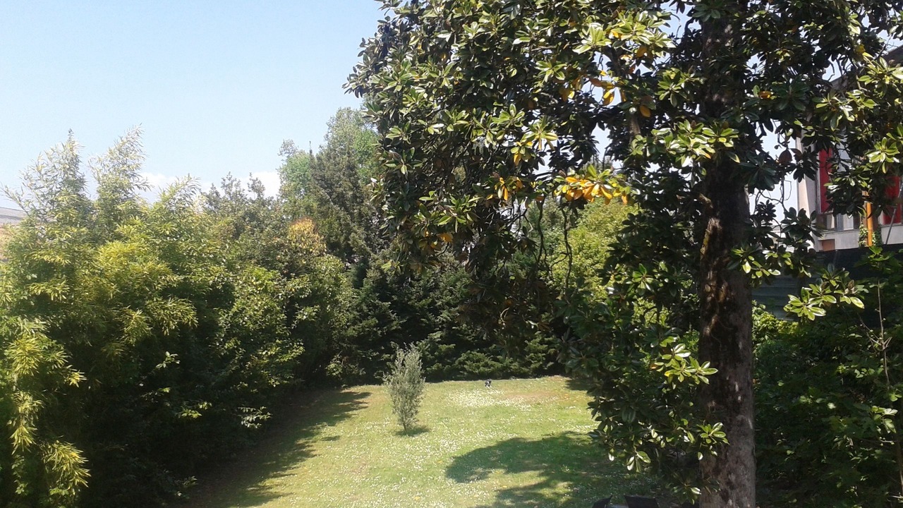 Photo of Others in Montauban