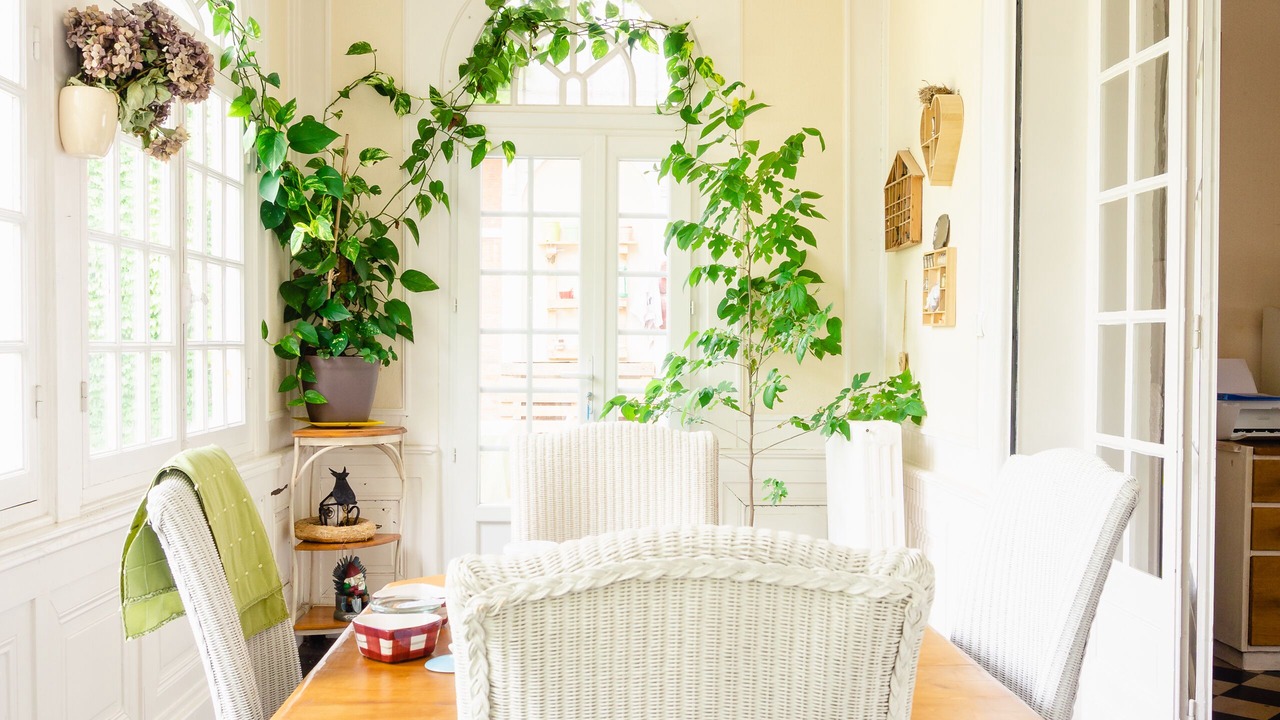 Photo of Others in Montauban