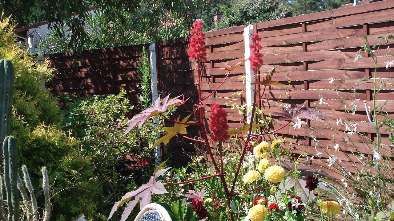 Photo of Outdoor in Mimizan