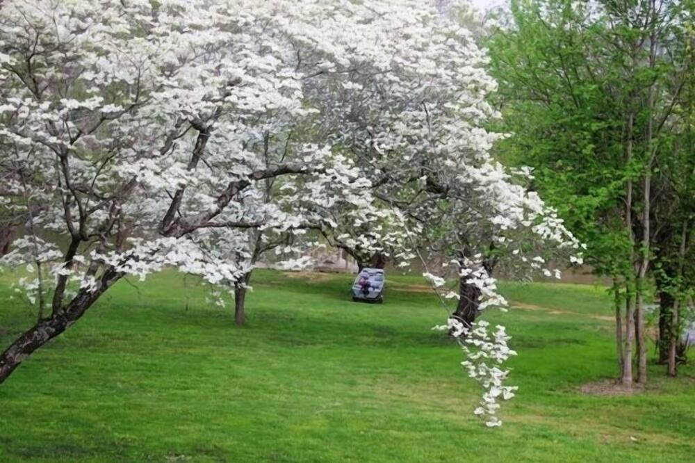 Photo of Outdoor in Bluff City