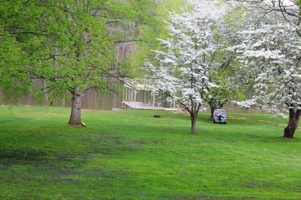 Photo of Outdoor in Bluff City