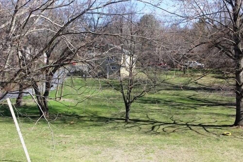 Photo of Outdoor in Bluff City