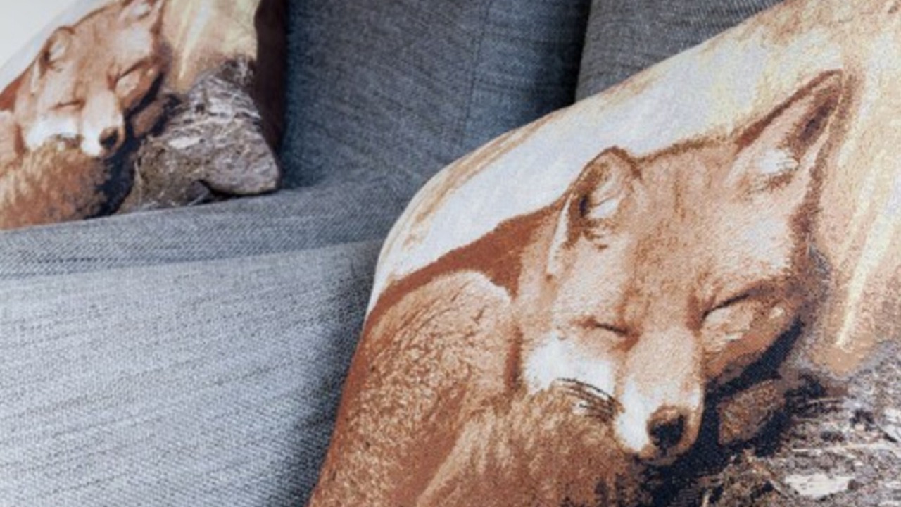 Photo of Others in Peaslake