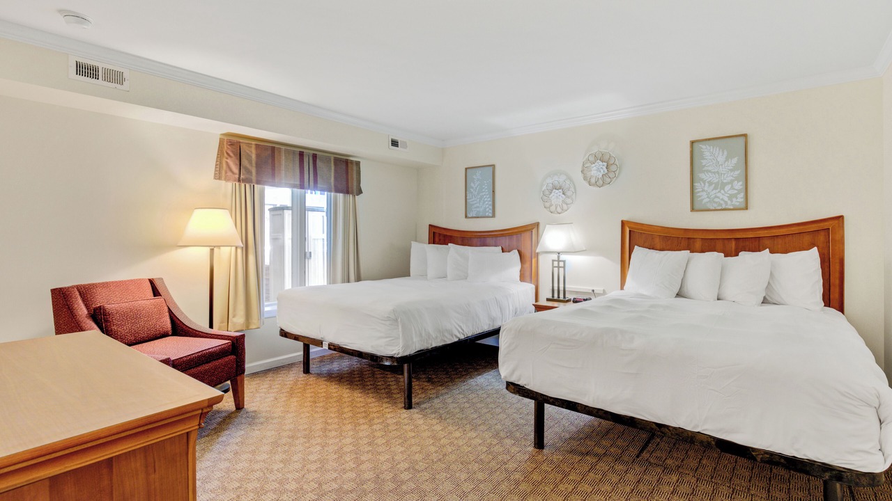 Photo of Others in Avalon