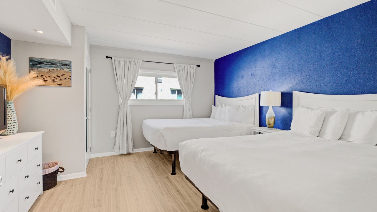 Photo of Others in Avalon