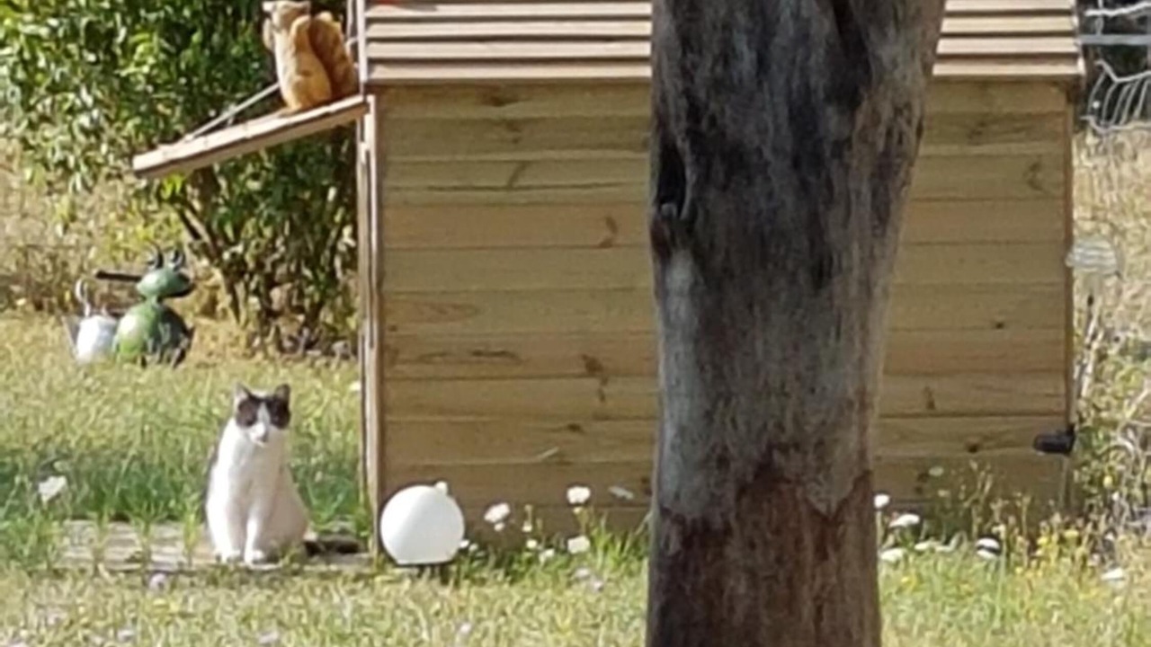 Photo of Outdoor in Nitry