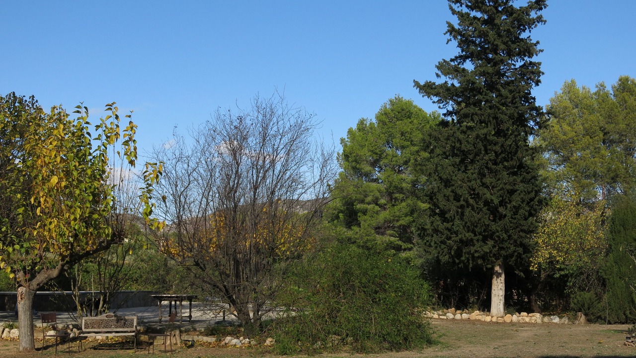 Photo of Outdoor in Muro del Alcoy
