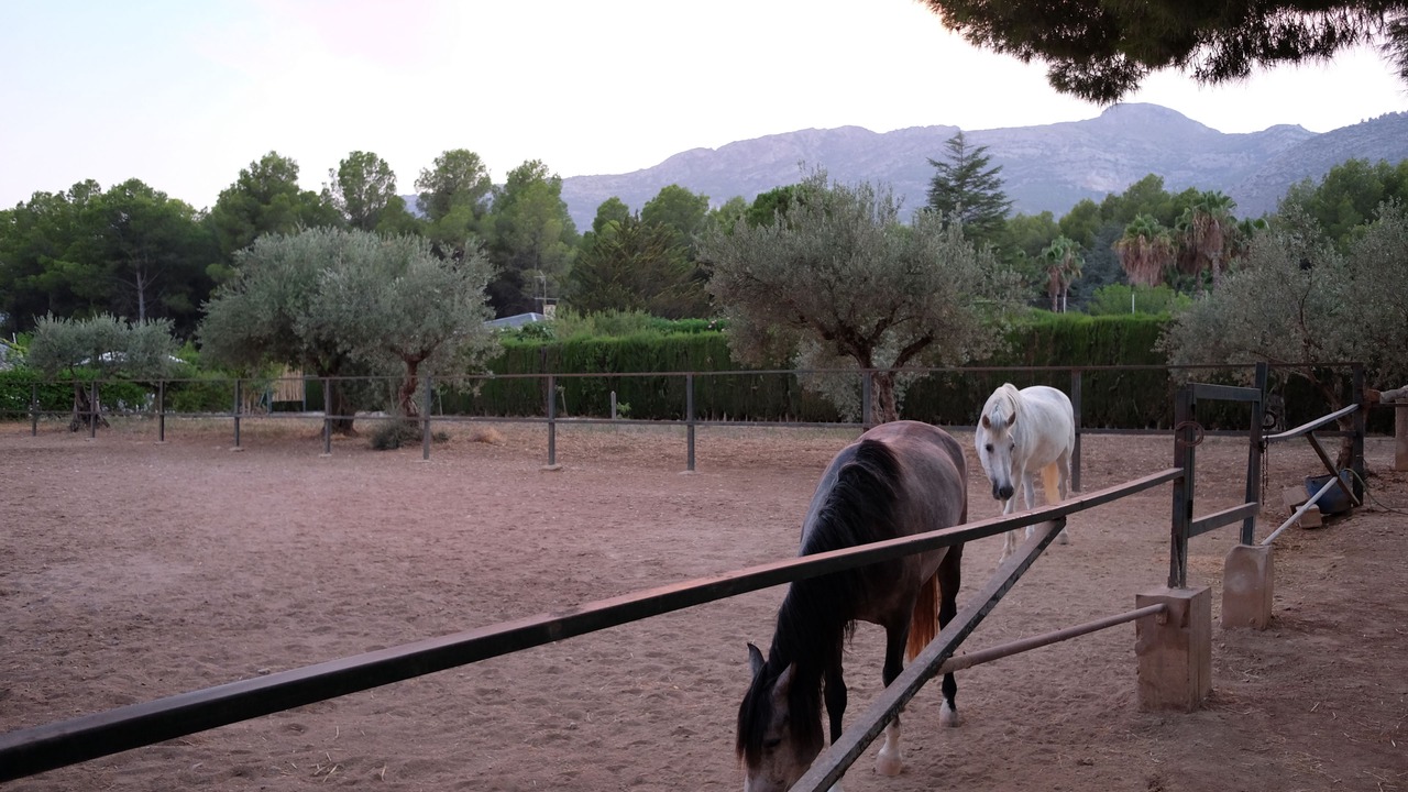 Photo of Others in Muro del Alcoy