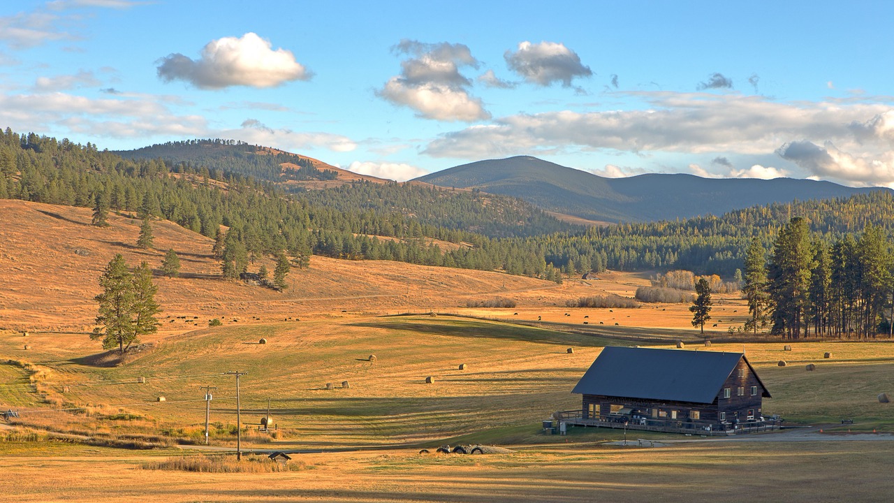 Photo of Outdoor in Oroville