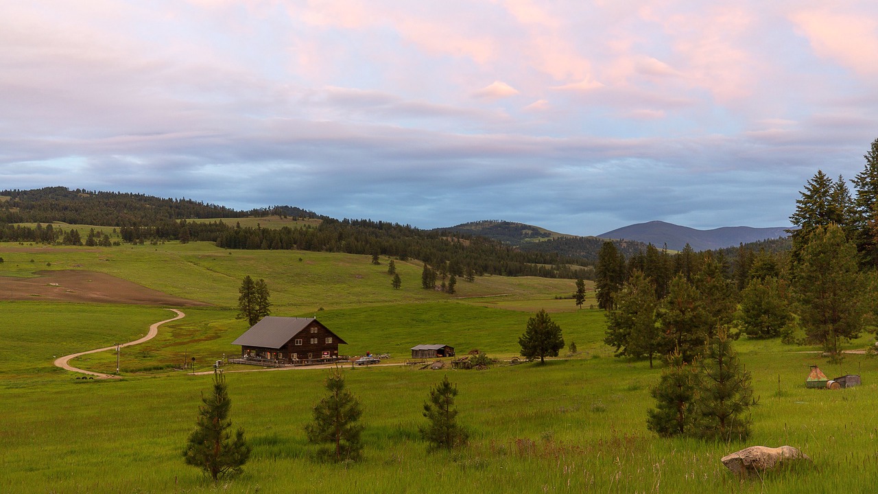 Photo of Outdoor in Oroville