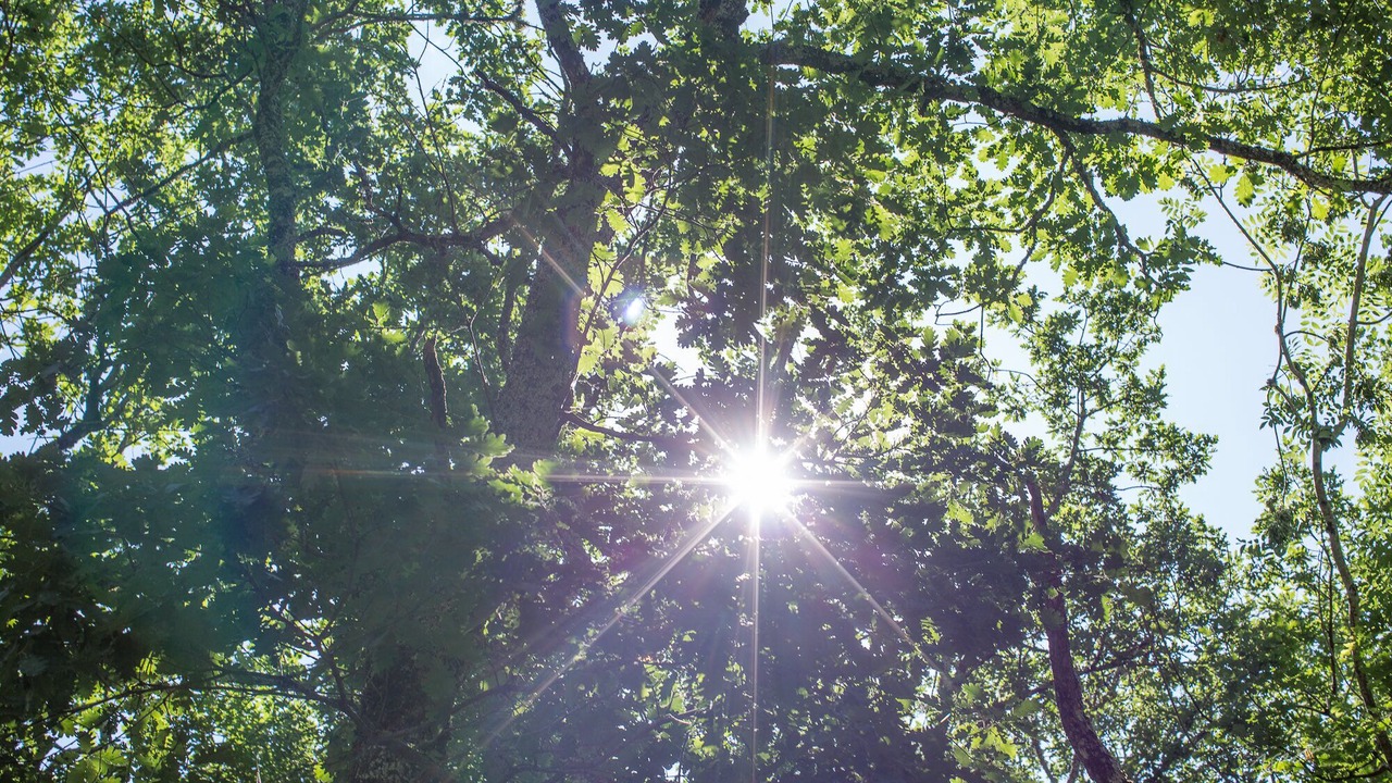 Photo of Outdoor in Blanquefort-sur-Briolance