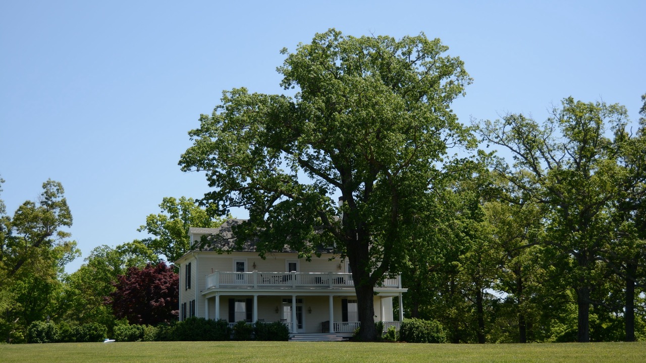 Photo of Outdoor in Esmont