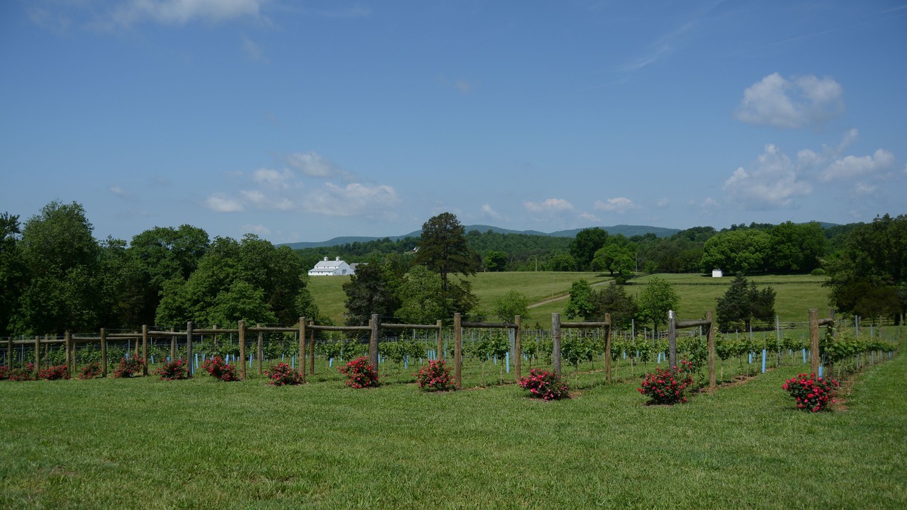 Photo of Outdoor in Esmont