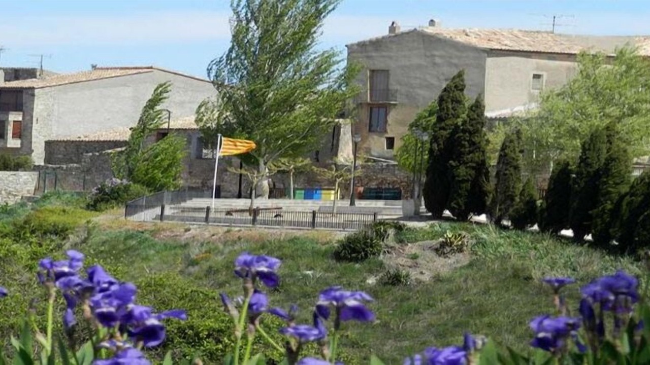 Photo of Outdoor in Belltall