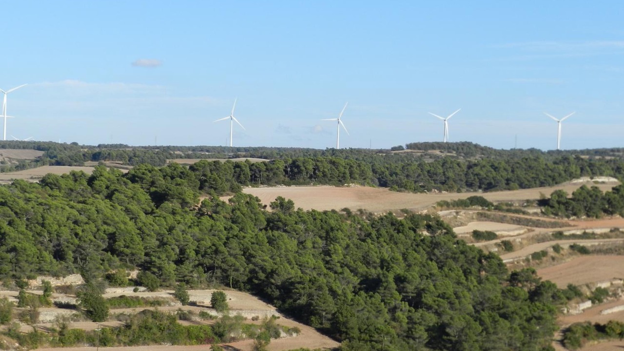 Photo of Outdoor in Belltall
