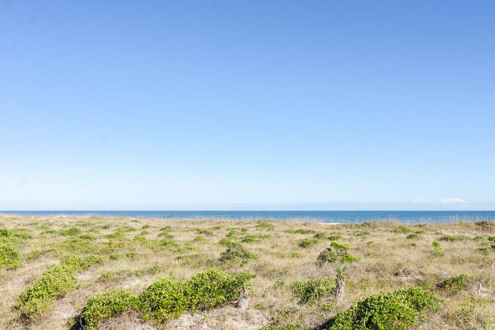 Photo of Others in Shell Island