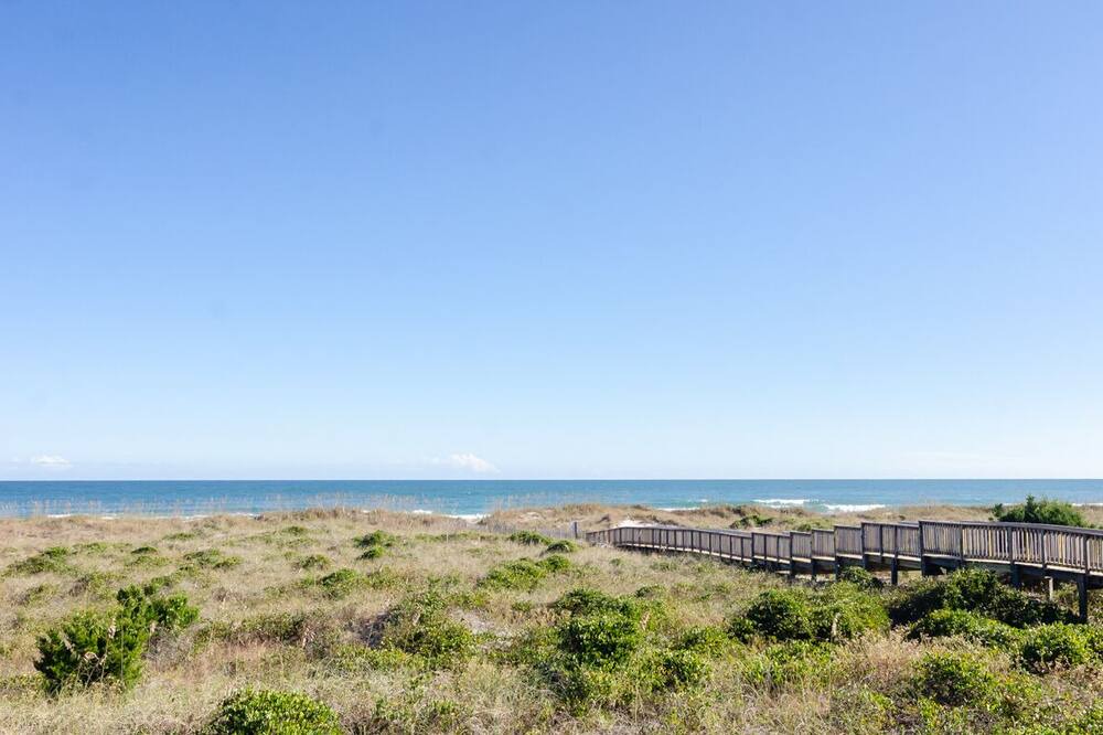 Photo of Others in Shell Island