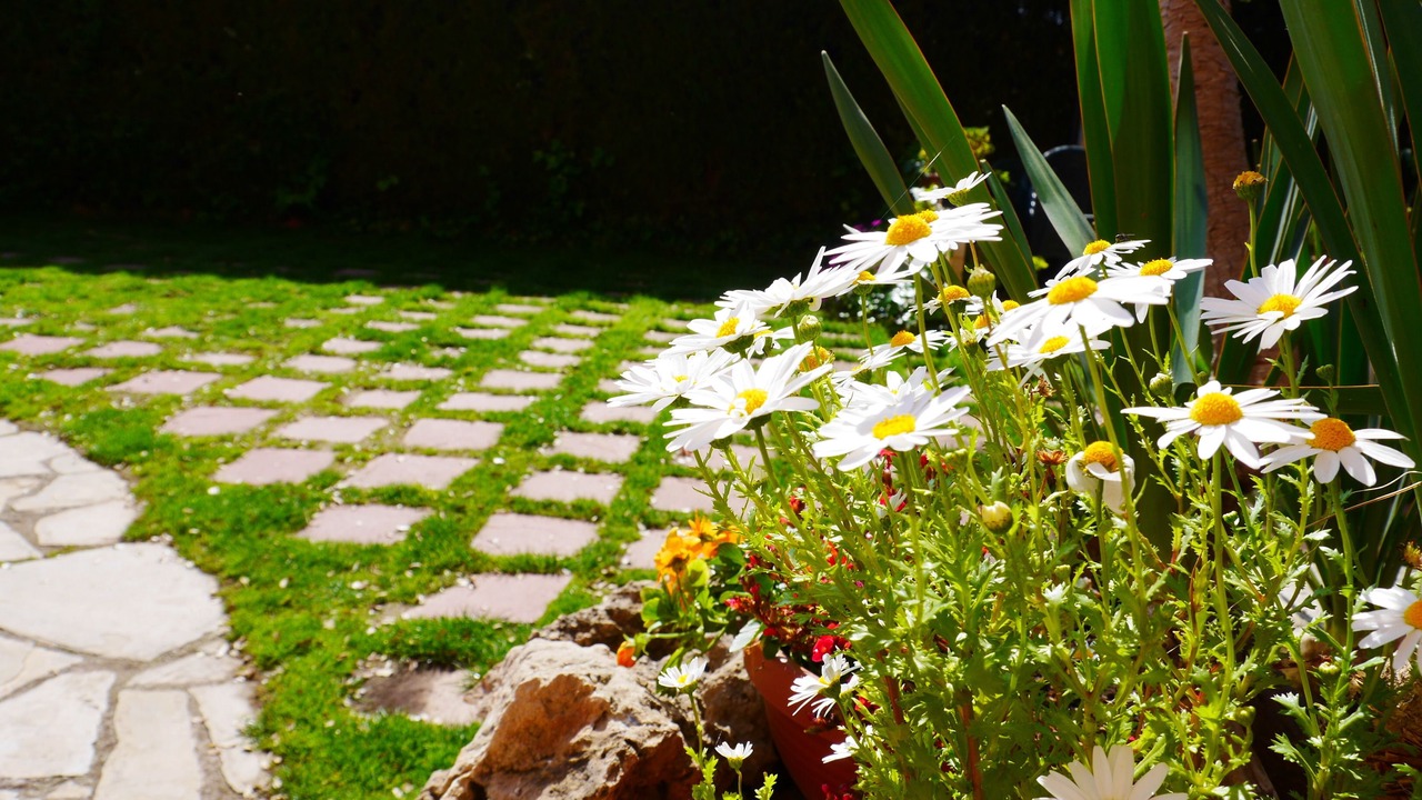 Photo of Outdoor in Banyeres del Penedes
