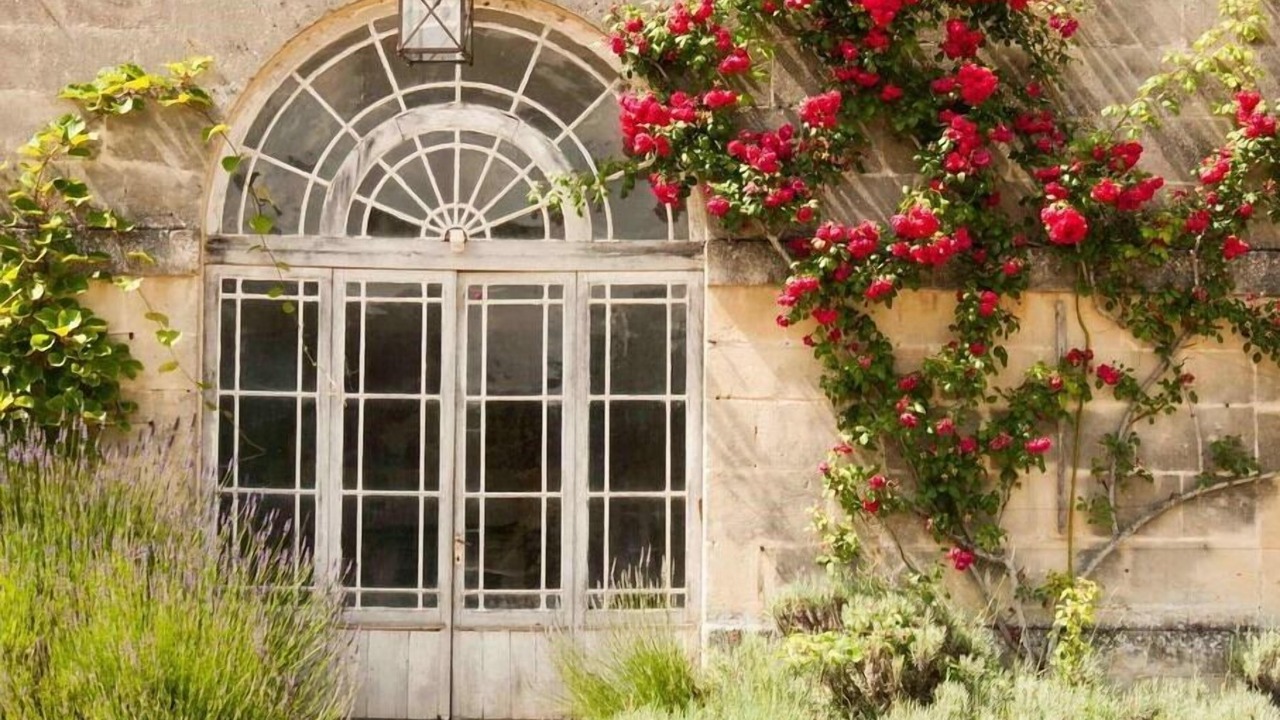 Photo of Outdoor in Saint-Paterne-Racan
