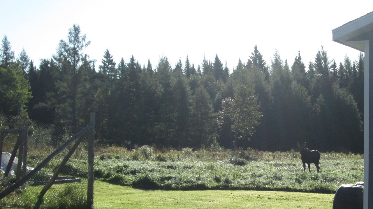 Photo of Outdoor in Saint-Cyprien