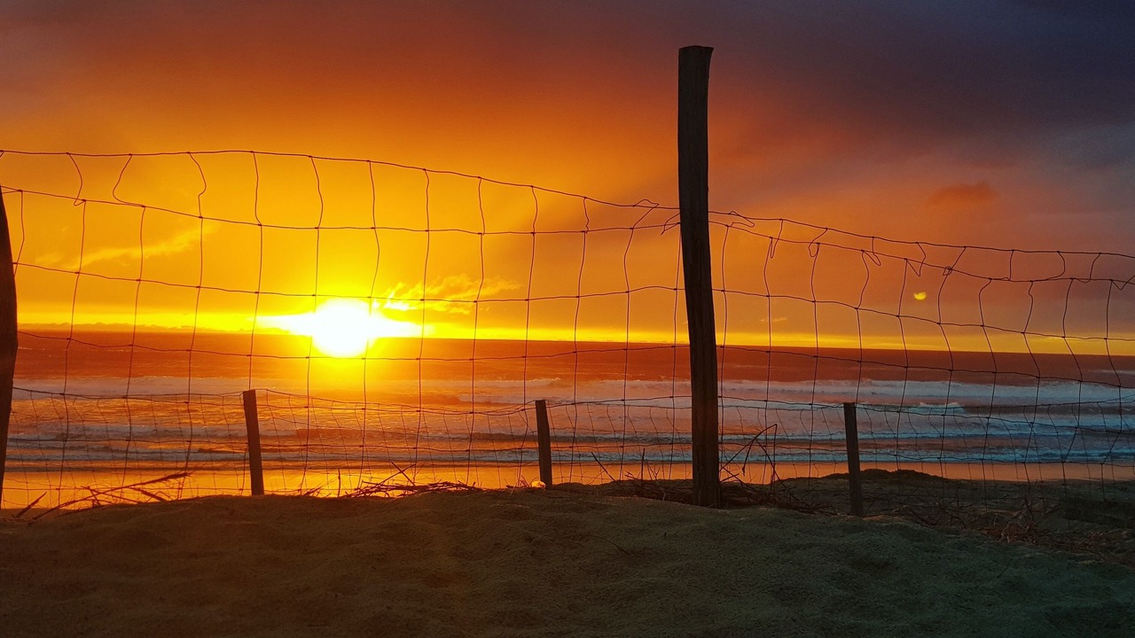 Photo of Others in Biscarrosse Plage